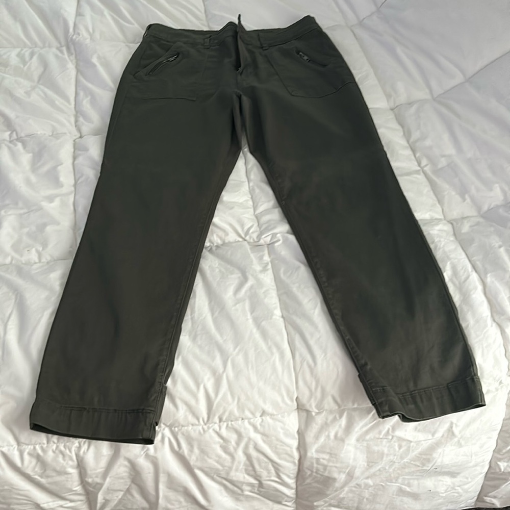 Ankle pants navy green